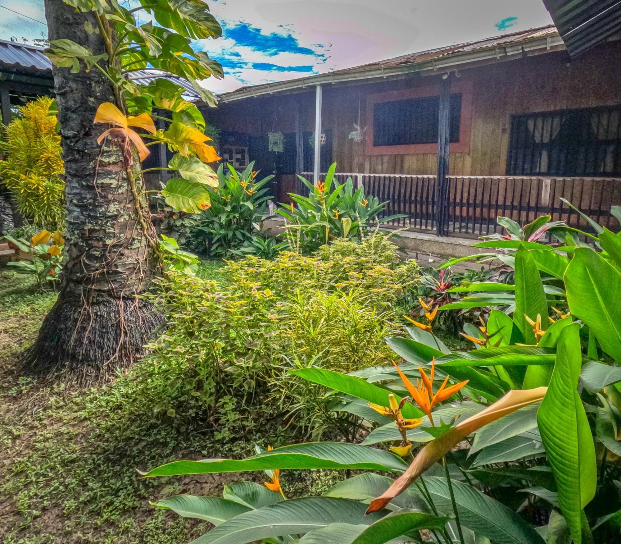 Hostel Casa De Las Palmas Tours Λετίσια Εξωτερικό φωτογραφία