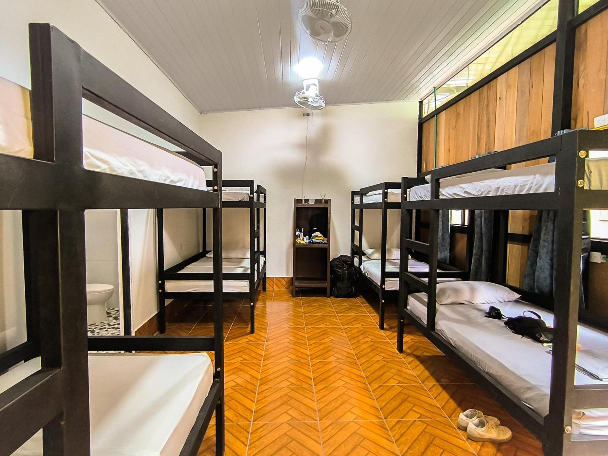 Hostel Casa De Las Palmas Tours Λετίσια Εξωτερικό φωτογραφία